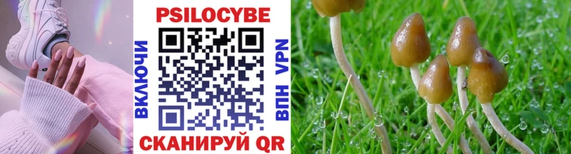 Псилоцибиновые грибы ЛСД Себеж